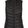 SNOWY LADY VESTS - 2523 2 1GfWtxYijHXpuwiatPrKW7C85I1VNZFou 1 scaled